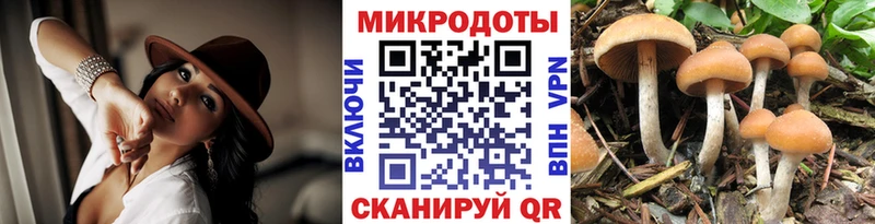 Галлюциногенные грибы Magic Shrooms  купить   Верхотурье 